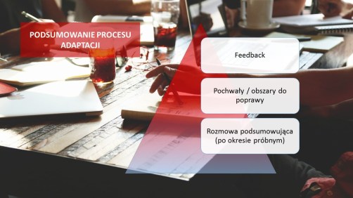 podsumowanie_adaptacji