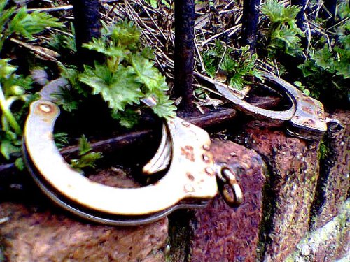 110972318_2f02a44aa6_o